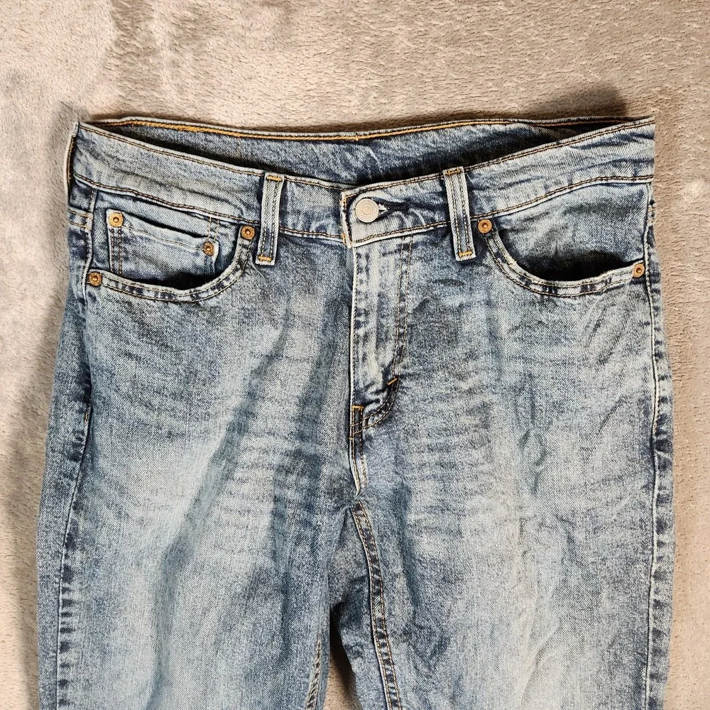 Levis levi 541